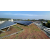 Solar Sedum Roof